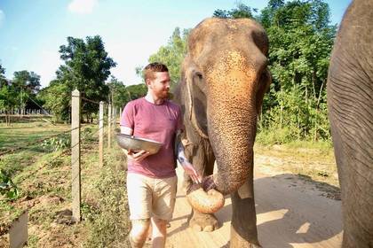 Volunteer in elephant animal protection in Thailand