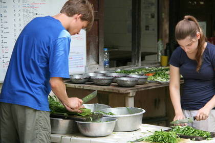 Wildlife Elefanten Projekt in Thailand