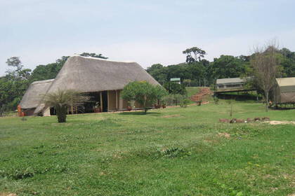 Volunteering with wildlife in Uganda