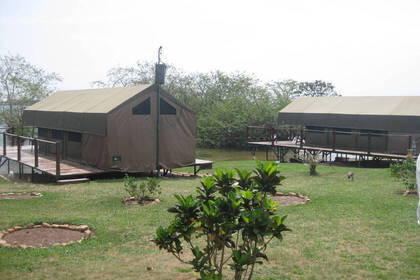 Schimpansen Projekt in Uganda