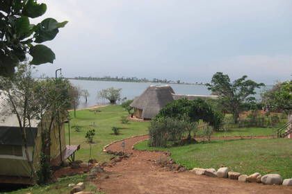 Tier Projekt in Uganda