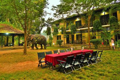 Der Garten im Hotelpraktikum in Chitwan