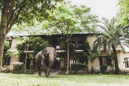 Tourismus Praktikum im Hotel in Chitwan