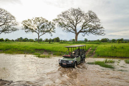 Erlebe dein Abendteuer in Simbabwe