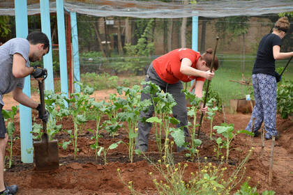 Farmarbeit in Simbabwe