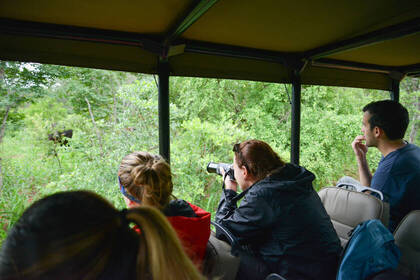 Wildlife Volunteer in Simbabwe