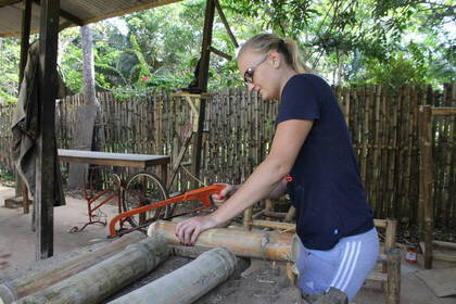Mitarbeit im Bambusprojekt in Ghana