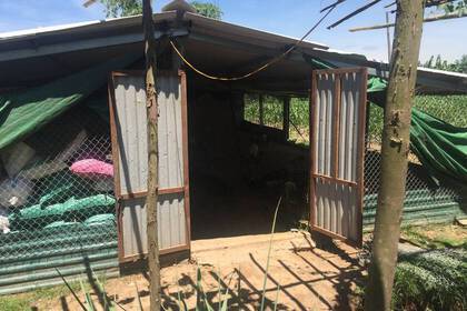 Stall auf dem Gelände