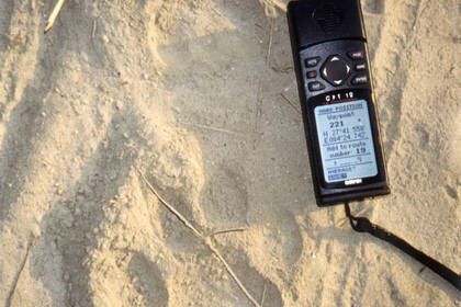 Pfotenabdruck im Sand