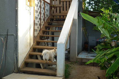 Treppen zum ersten Stock