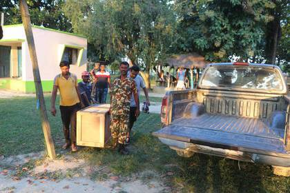 Ein Tier wird zur Auswilderung transportiert