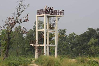 Lookout tower in the forest