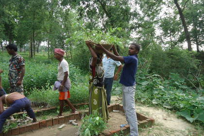 Setzlinge werden neu gepflanzt