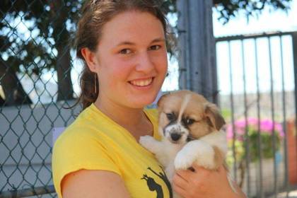 Volunteer bit in the animal rescue center