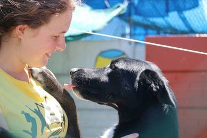 Volunteer with South Africa animal rescue station