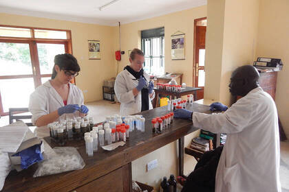 Forschung im Nationalpark in Uganda