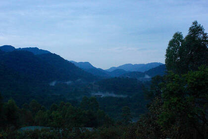 Nationalpark in Uganda