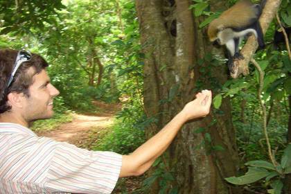 Volunteering with monkeys in Ghana