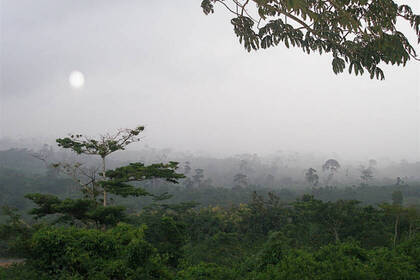 Freiwilligenarbeit im Nationalpark mit Affen