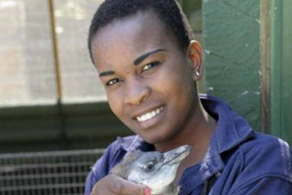 Animal Welfare Penguin Volunteer South Africa