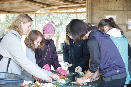 Affen Schutz Südafrika