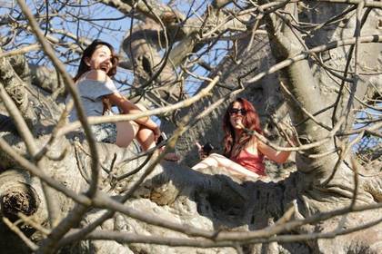 Freiwilligendienst Affen Tierschutz Südafrika