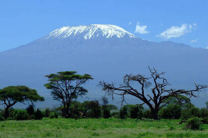 Blick auf den Kilmandscharo