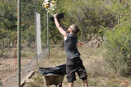 Tierfütterung Affen Conservation Südafrika
