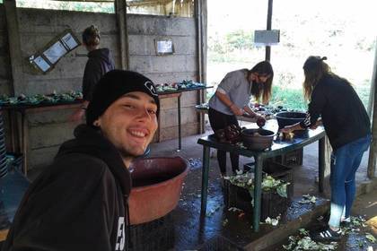 Tierschutz im Ausland Affen