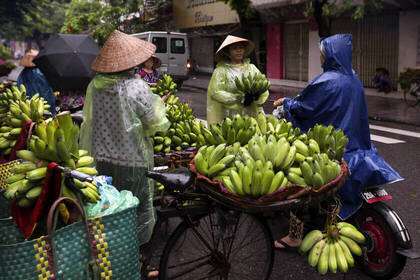 Hanoi: street food