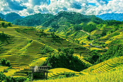 Rice terraces in North Vietnam