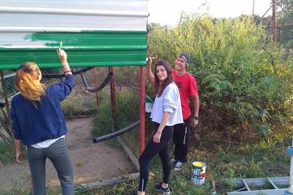 Volunteer im Ausland Affen Südafrika