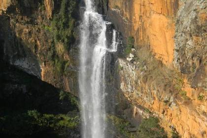 Volunteer mit Affen Südafrika