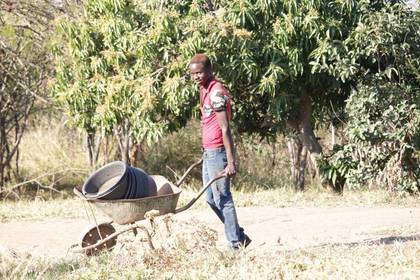 Volunteer Tierschutz Südafrika