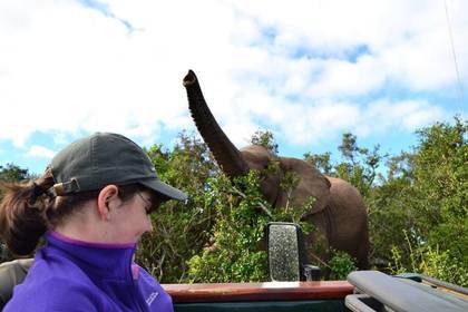 Bedrohte Tiere Südafrika Freiwilligenabeit