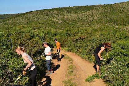 Freiwilligenarbeit Naturschutz im Ausland