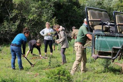 Südafrika Workcamp
