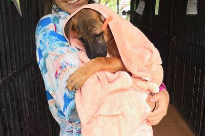 Badezeit im Straßenhunde Projekt in Thailand