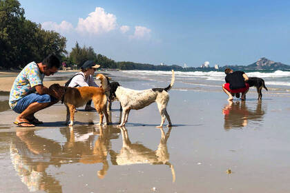 Den Strand genießen