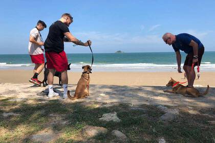 Leinentraining mit den Hunden