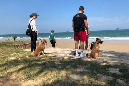 Leinentraining mit den Hunden