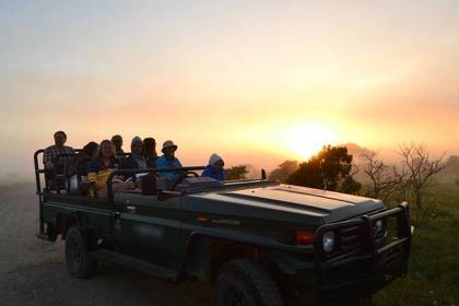 Volunteer Safari Südafrika