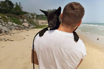 Den Strand genießen mit den Hunden