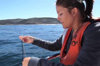 Defin Schutz Freiwilligenarbeit Südafrika