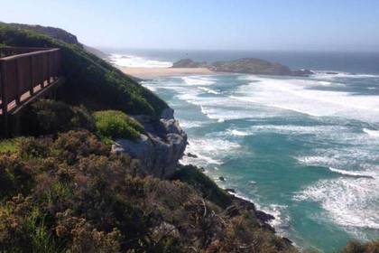 Wale Schützen Südafrika Freiwilligendienst