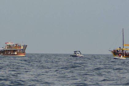 Mittelmeer Tierschutz