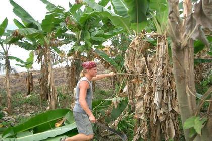 Freiwilligenarbeit für Naturschutz in Tansania