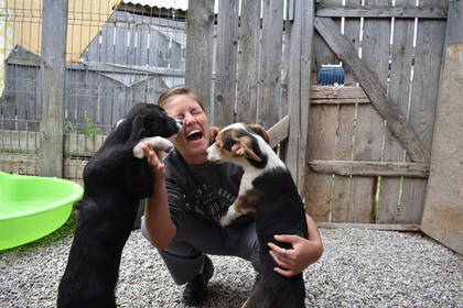 Spiel und Spaß im Hundeheim in Rumänien