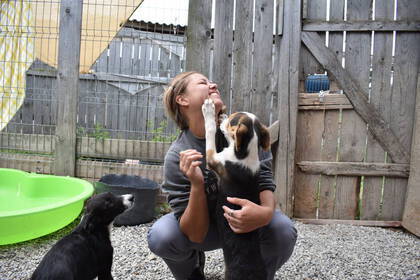Robuste Arbeitskleidung ist wichtig, wie du siehst ;-)