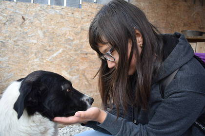 Hundefreundschaft in Rumänien